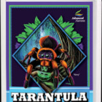 tarantula_bg