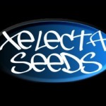 Xelecta Seeds