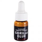 gorilla glue 1ml