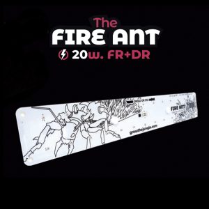 THE FIRE ANT